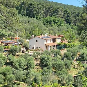 Rivolta Buti